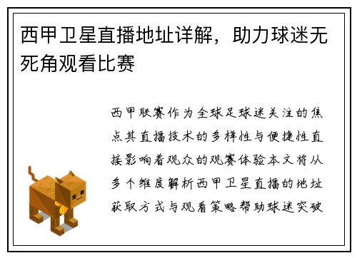 西甲卫星直播地址详解，助力球迷无死角观看比赛